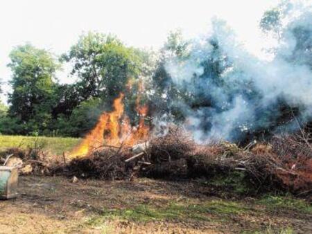 slika kurjenje v naravi