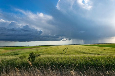konyvesotto-storm-5220380_1920