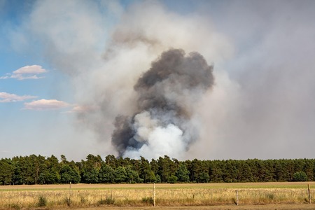 seaq68-fire-3544205_1920