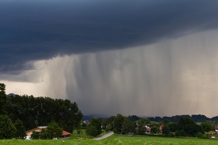 neurje